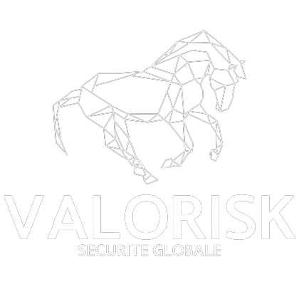 logo de valorisk